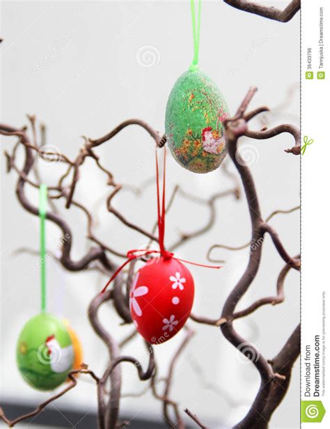 easter eggs hanging   tree stock photo image  hanging