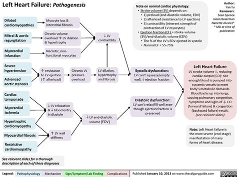 left heart failure pathogenesis calgary guide emergency nursing