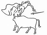 Bull Coloring Pages Printable Matador Sheet sketch template