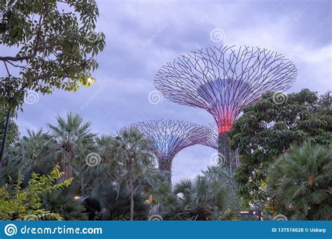 Singapore Gardens By The Bay With The Supertree Grove At
