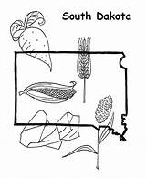 State Dakota South Coloring Outline Pages Template Bird Map Study Demographic Shape Choose Board sketch template