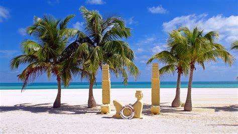 Isla Contoy Un Paraíso Pequeño Y único De La Riviera Maya