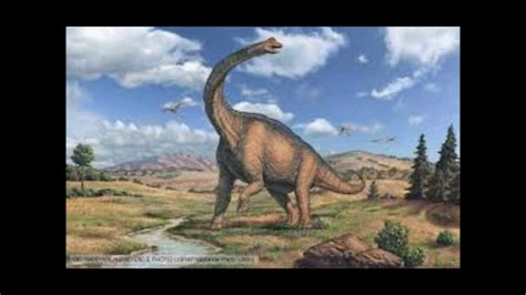 tribute  sauropods youtube