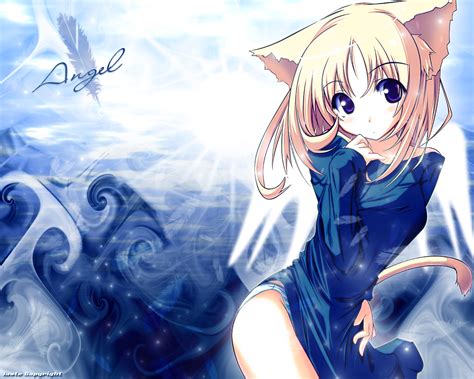 catgirl wallpaper wallpapersafari