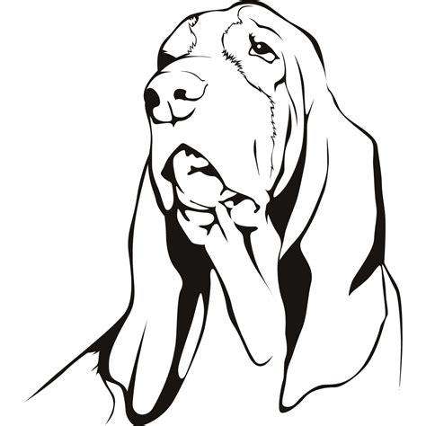 basset hound coloring pages az sketch coloring page
