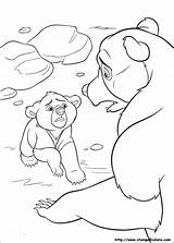 Hermano Oso Koda Orso Fratello Ours Pages Frere Coloriage Coloriez Kenai Coloriages Choisis Tes sketch template