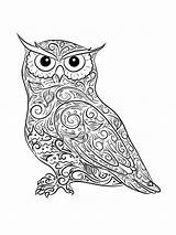 Coloring Owl Pages Adults Adult Printable sketch template