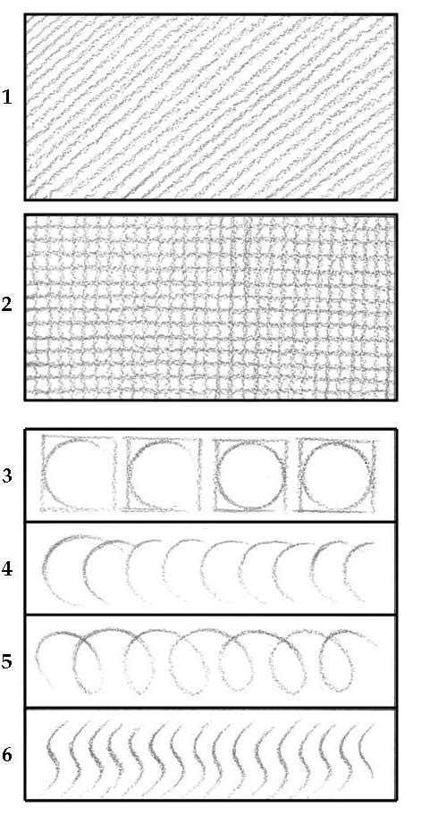 basics  drawing exercise   skill levels  feather