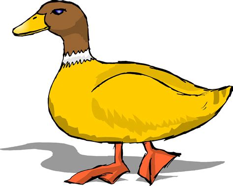 cartoon duck images clipart