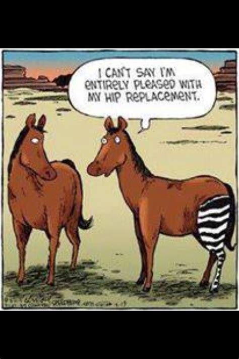 Hip Replacement Pediatric Therapy Pt Pinterest
