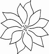 Poinsettia Drawing Line Outline Clipartmag sketch template