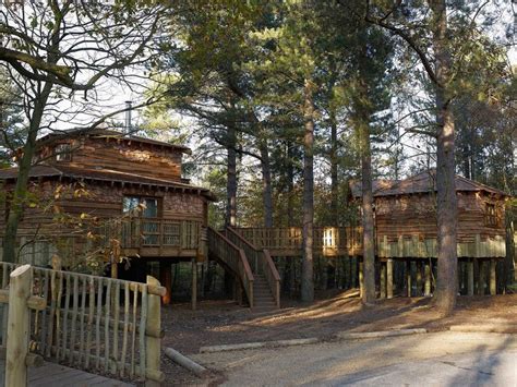 nature     modern twist   luxury treehouse lodges