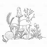 Mushroom Outline Mushrooms Coloring Illustration Hand Various Vector Drawn Book Fungi Pages Edible Stock Flowers Drawing Ferns Clip Drawings Line sketch template