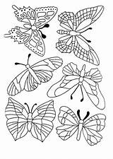 Papillons Kleurplaten Colorier Hugolescargot Papillon Vlinders Vogels Butterflies Vlinder Bloemen Volwassen Hugo Difficile Volwassenen Insectes Bezoeken Topkleurplaat Visit sketch template