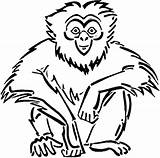 Gibbon Utan Mewarnai Gibboni Gorilla Kolorowanka Kolorowanki Designlooter Lowland Apes Supercoloring sketch template