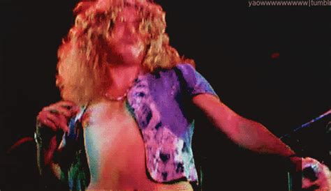 led zeppelin dvd s find and share on giphy