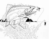 Trout Manly sketch template