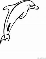 Dolfijnen Eu Dieren sketch template