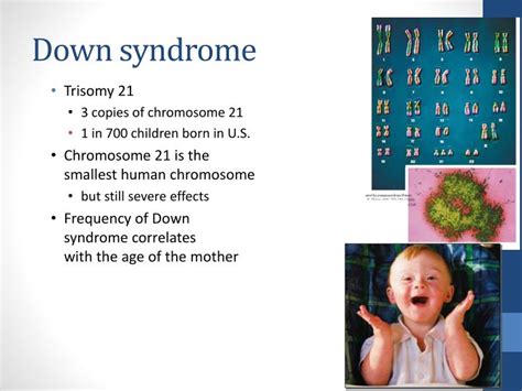 ppt errors of meiosis chromosomal abnormalities powerpoint presentation id 2170963