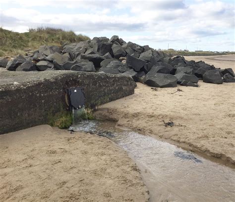 claims  poisoned water   hauxley beach  ambler