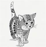 Coloring Pages Cat Zentangle Mandala Cats Adult Adults Kitten Ben Kwok Chat Coloriage Printable Animals Books Colouring Book Animal Patterns sketch template