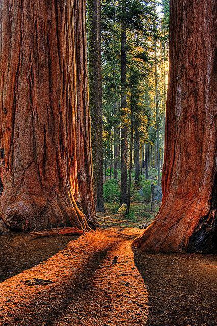 15 most beautiful national parks in america fascinating places to