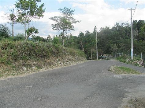 residential lot for sale in mile gully manchester jamaica