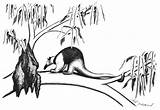 Anteater Coloring Pages Tree sketch template
