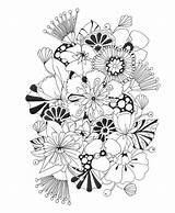 Coloring Pages Adult Botanical Issuu Wonderland Books Flower Choose Board Flowers sketch template