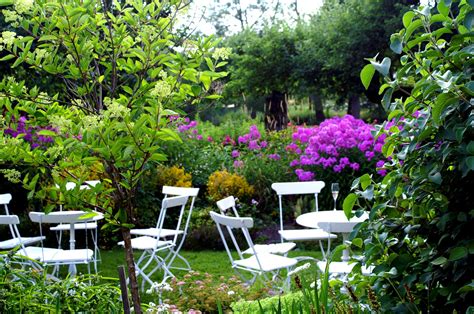 colorful garden  photo  freeimages