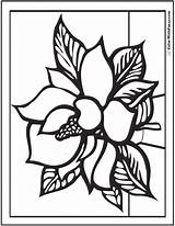 Spring Coloring Flowers Magnolia Pages Flower Colorwithfuzzy sketch template