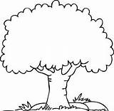 Tree Coloring Roots Pages Getdrawings sketch template