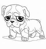 Bulldog Coloring Pages Cute Drawing Little American Pug French Face English Line Printable Bulldogs Color Sad Bowl Inside Happy Template sketch template