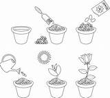 Malvorlagen Six Planting sketch template