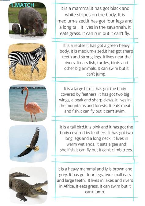 animals descriptions  worksheet  worksheets