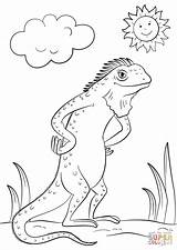 Coloring Cartoon Iguana Lizard Pages Printable Chameleon A4 Categories Drawing Anole Kids sketch template