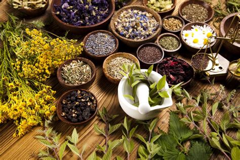 herbal medicines  mexico mexperience