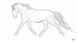 Warmblood Trotting Lineart sketch template