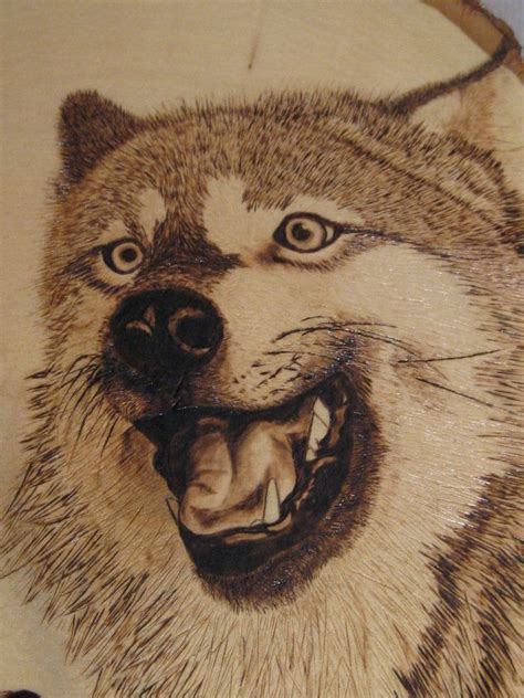 wood burningart grown wolf woodburning  smsilverwolf  deviantart wood burning wood