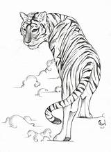 Tiger Tattoo Drawing Easy Body Tattoos Drawings Walking Side Designs Smoke Pleased Throuth Tigers Sketches Outline Minnon Stencil Au Tattooimages sketch template