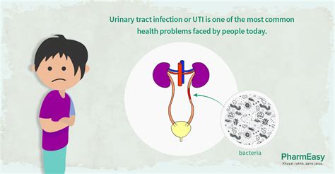 causes and symptoms of urinary infections