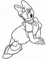 Duck Daisy Coloring Pages Donald Kids Popular Printable Print Library sketch template