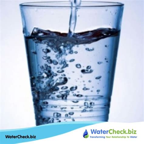 benefits  staying hydrated water    important nutrient