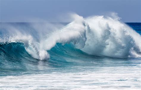 pretty shore break  beautiful hawaii ocean wave shore break