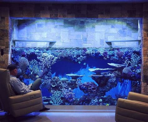 incorporating aquariums  interior design redfin aquarium design