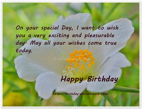 special day true picture happy birthday card true picture hd