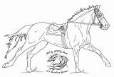 Lineart Racehorse Drawing Colouring Thoroughbred sketch template
