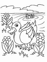 Pond Coloring Pages Preschool Animals Getcolorings Getdrawings Printable Color Print sketch template