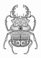Zentangle Beetle Mandala Coloriage Insectes sketch template