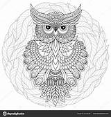 Volwassenen Kleurplaat Uil Oudere Tekenen Kleurboek Schattige Zentangle Florale Stockillustratie Omtrek Stijl Sitik Rodo Oren sketch template